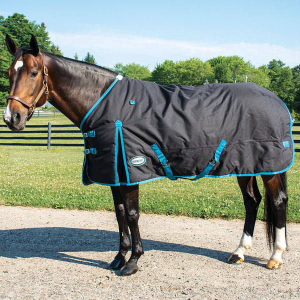 Country Pride Calgary Heavyweight Turnout Blanket